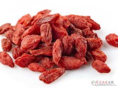 枸杞毛尖真能“全能养生”？功效与误区要分清 - 深圳健康科普资讯网