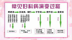 吕易圣妇洁净中药包可oem贴牌代工、可批发代理、全国火爆招商中!(图1) 吕易圣妇洁净中药包可oem贴牌代工、可批发代理、全国火爆招商中!(图1)