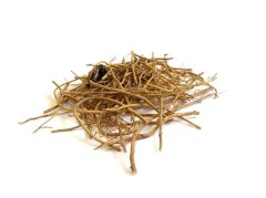 口干苔黄脸暗沉？中医湿热调理要点记牢 - 深圳健康科普资讯网