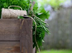 血热证饮食调理：用清热养血食物缓解不适 - 深圳健康科普资讯网
