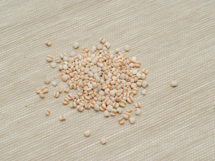 湿气重别硬扛!3类食物温和辅助除湿+避坑指南(图1) 湿气重别硬扛!3类食物温和辅助除湿+避坑指南(图1)