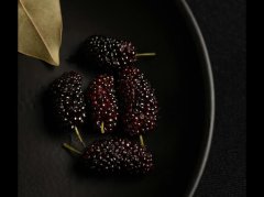 吃桑葚的好处与禁忌：科学避坑指南 - 深圳健康科普资讯网