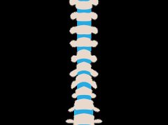 男性腰疼别硬扛？4种病因及科学应对方法 - 深圳健康科普资讯网