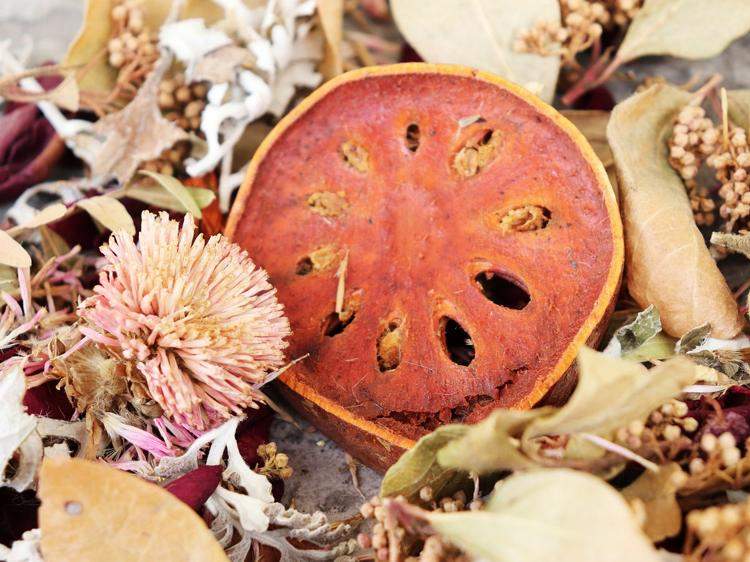 金银花百合泡水缓解虚火：功效、误区及正确饮用指南(图1)