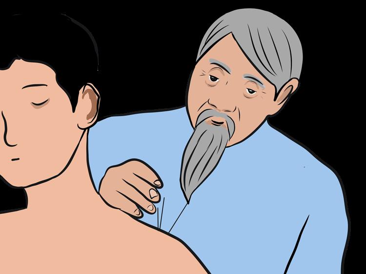 气虚血虚致肥胖？中医解析代谢逻辑与科学调理建议(图1)