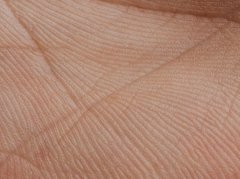 手掌光滑是肝肾亏虚？别被误导！3个科学判断法 - 深圳健康科普资讯网