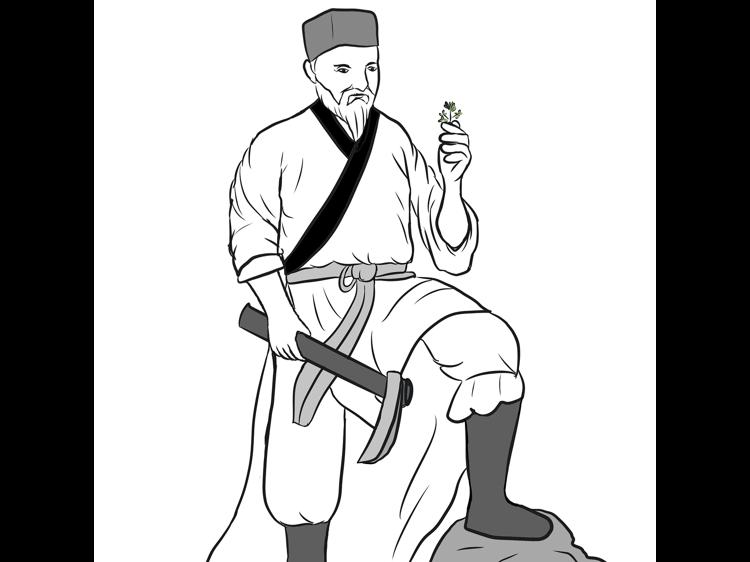 艾草熏蒸别瞎做！这些讲究帮你避坑还养生(图1)