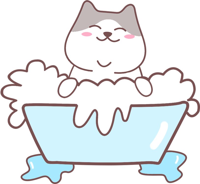 如何养出社牛小猫?抓住这个黄金期很关键(图5) 如何养出社牛小猫?抓住这个黄金期很关键(图5)