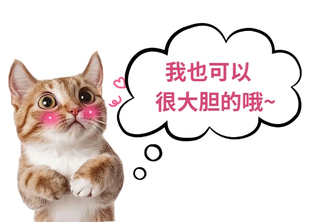 如何养出社牛小猫?抓住这个黄金期很关键(图1) 如何养出社牛小猫?抓住这个黄金期很关键(图1)