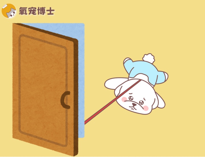 狗狗突然不愿意出门？问题出在哪儿？(图1)