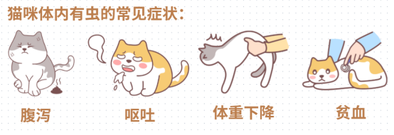 怎么知道猫咪身上有没有虫?(图6) 怎么知道猫咪身上有没有虫?(图6)