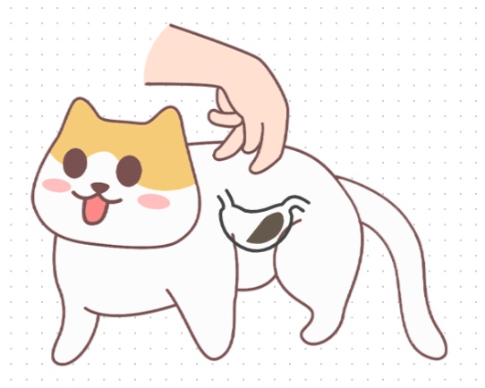 猫咪一天喂几顿比较好?你做对了吗?(图2) 猫咪一天喂几顿比较好?你做对了吗?(图2)
