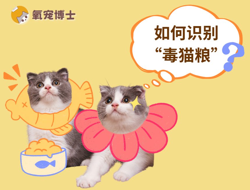 如何一眼识别毒猫粮?新手必看!(图1) 如何一眼识别毒猫粮?新手必看!(图1)