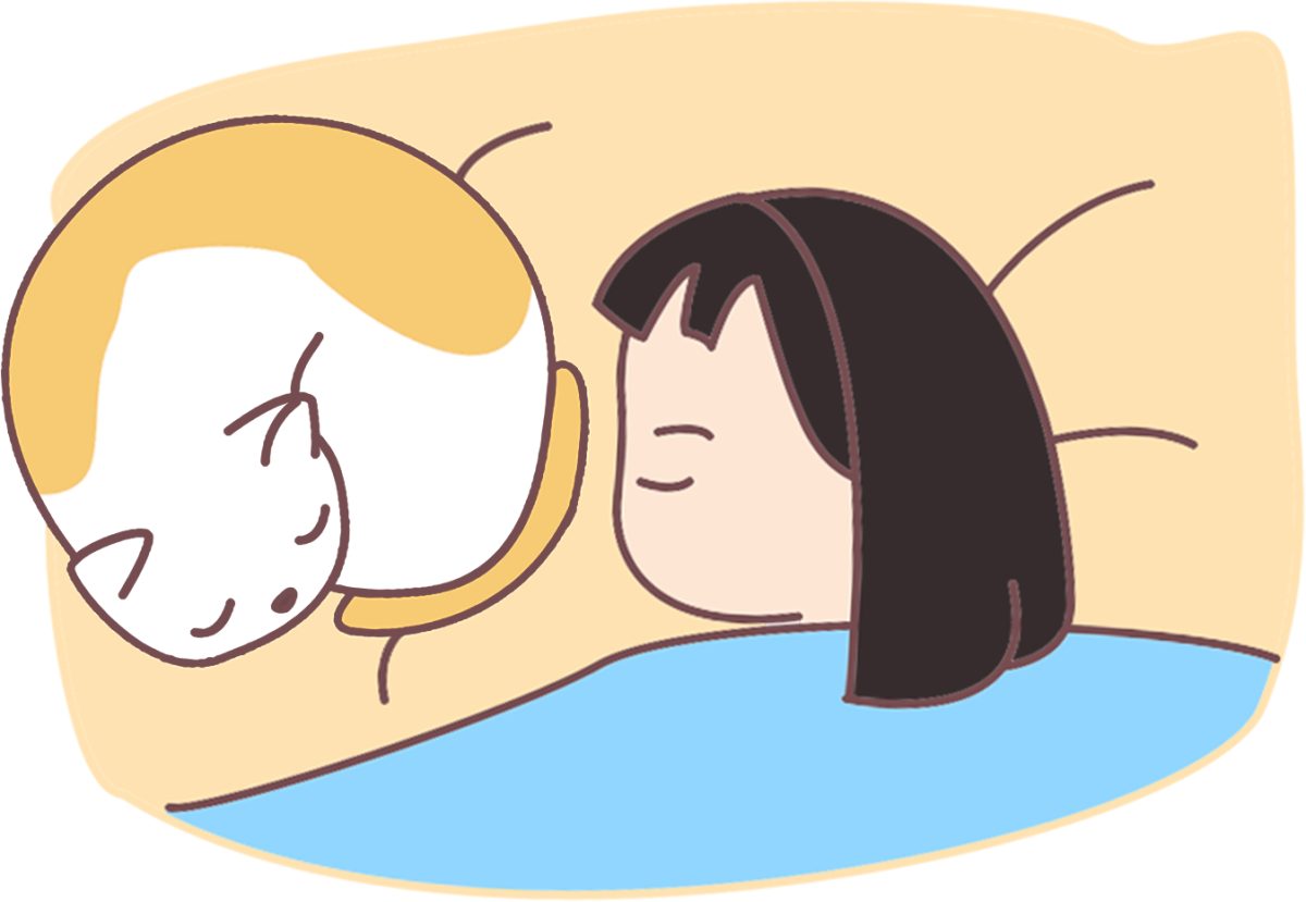 猫咪爱主人的5个等级,你家主子是哪一级?(图4) 猫咪爱主人的5个等级,你家主子是哪一级?(图4)