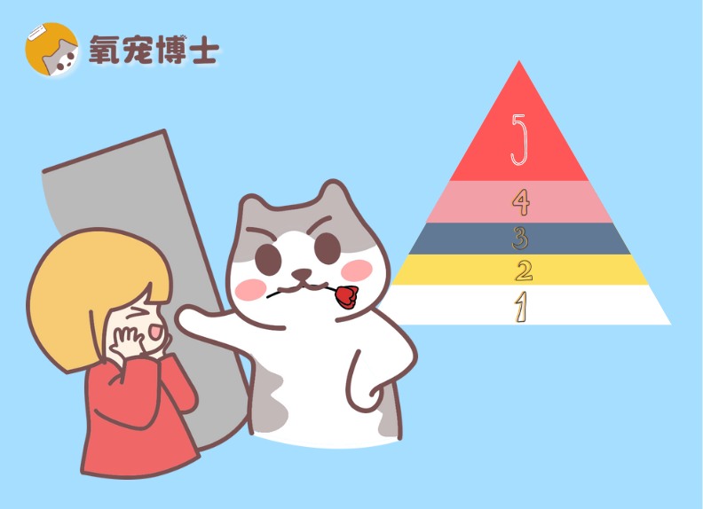猫咪爱主人的5个等级,你家主子是哪一级?(图1) 猫咪爱主人的5个等级,你家主子是哪一级?(图1)