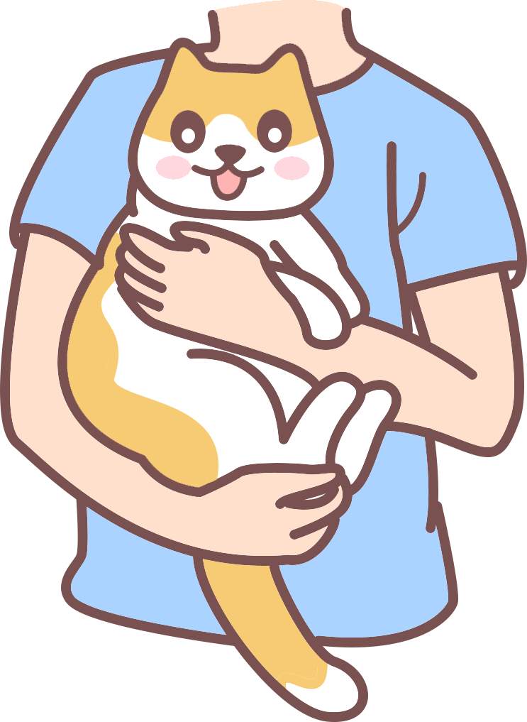 猫咪老年痴呆了,还能活多长久?(图5) 猫咪老年痴呆了,还能活多长久?(图5)