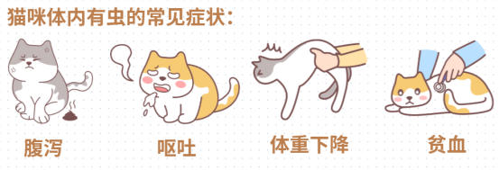 猫咪光吃不胖是不是有虫?(图2) 猫咪光吃不胖是不是有虫?(图2)
