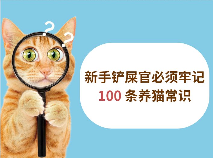 新手养猫必须牢记的100条常识(图1)