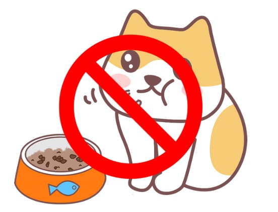 猫咪肝功能不好吃什么?附禁食清单(图5) 猫咪肝功能不好吃什么?附禁食清单(图5)