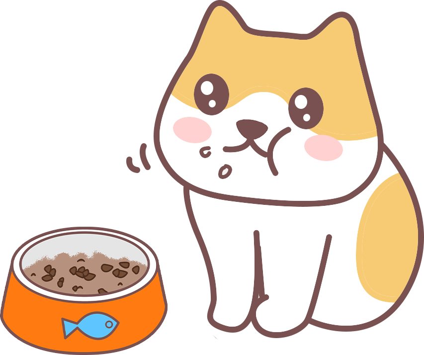 新手养猫必须牢记的100条常识(图2)