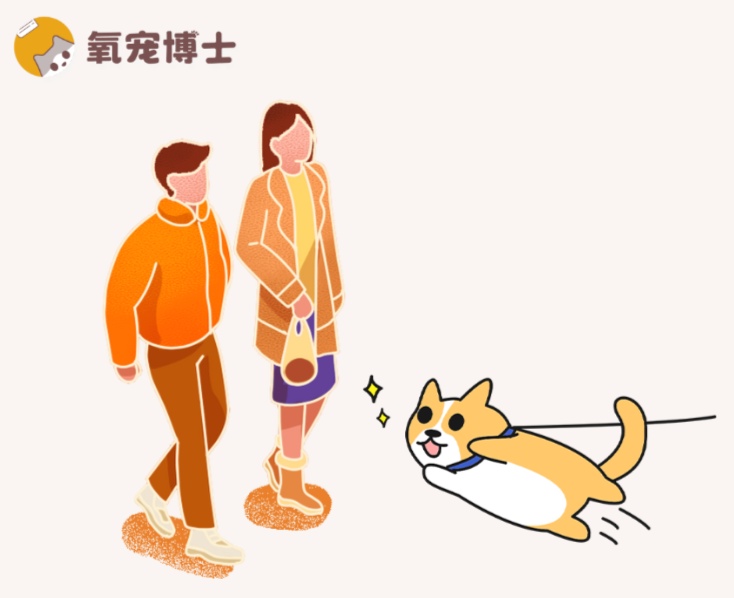 狗狗对陌生人过于热情，见人就扑怎么办？(图1)