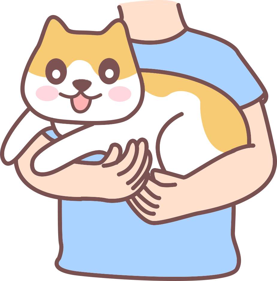 猫咪知道是你在养它、照顾它吗?(图1) 猫咪知道是你在养它、照顾它吗?(图1)