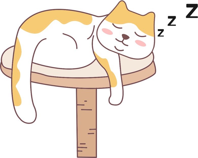 猫咪知道是你在养它、照顾它吗?(图4) 猫咪知道是你在养它、照顾它吗?(图4)