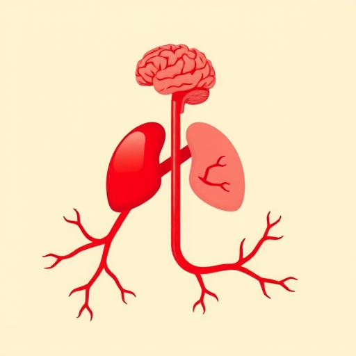 脾虚可能引发脑供血不足？中医解析3机制+科学调理法(图2)