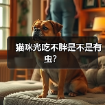 猫咪光吃不胖是不是有虫？(图1)
