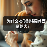 为什么劝你别轻易养西高地犬?(图3) 为什么劝你别轻易养西高地犬?(图3)