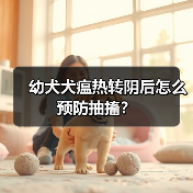 幼犬犬瘟热转阴后怎么预防抽搐？(图2)