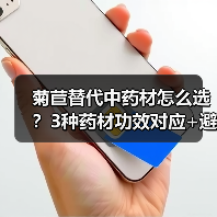 菊苣替代中药材怎么选？3种药材功效对应+避坑指南(图3)