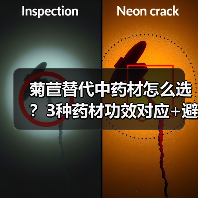 菊苣替代中药材怎么选？3种药材功效对应+避坑指南(图1)