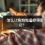 怎么让狗狗知道你很爱它？(图1)