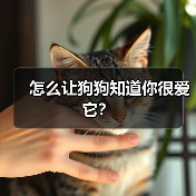 怎么让狗狗知道你很爱它？(图3)