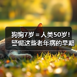 狗狗7岁=人类50岁!警惕这些老年病的早期信号(图4) 狗狗7岁=人类50岁!警惕这些老年病的早期信号(图4)