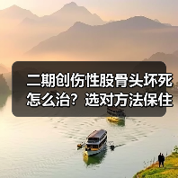 二期创伤性股骨头坏死怎么治?选对方法保住股骨头(图2) 二期创伤性股骨头坏死怎么治?选对方法保住股骨头(图2)