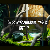 怎么避免猫咪得“空调病”?(图1) 怎么避免猫咪得“空调病”?(图1)