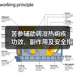苦参辅助调湿热痢疾:功效、副作用及安全指南(图1) 苦参辅助调湿热痢疾:功效、副作用及安全指南(图1)