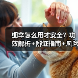 细辛怎么用才安全?功效解析+辨证指南+风险提示(图2) 细辛怎么用才安全?功效解析+辨证指南+风险提示(图2)