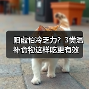 阳虚怕冷乏力?3类温补食物这样吃更有效(图4) 阳虚怕冷乏力?3类温补食物这样吃更有效(图4)