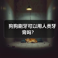 狗狗刷牙可以用人类牙膏吗？(图1)