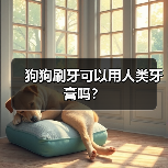 狗狗刷牙可以用人类牙膏吗？(图2)