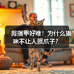 剪指甲好难!为什么猫咪不让人摸爪子?(图4) 剪指甲好难!为什么猫咪不让人摸爪子?(图4)