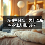 剪指甲好难!为什么猫咪不让人摸爪子?(图2) 剪指甲好难!为什么猫咪不让人摸爪子?(图2)