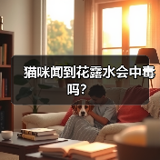猫咪闻到花露水会中毒吗？(图2)