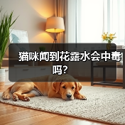 猫咪闻到花露水会中毒吗？(图3)
