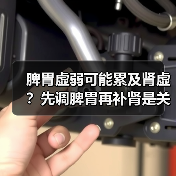 脾胃虚弱可能累及肾虚?先调脾胃再补肾是关键(图2) 脾胃虚弱可能累及肾虚?先调脾胃再补肾是关键(图2)