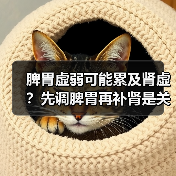脾胃虚弱可能累及肾虚?先调脾胃再补肾是关键(图3) 脾胃虚弱可能累及肾虚?先调脾胃再补肾是关键(图3)