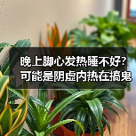 晚上脚心发热睡不好?可能是阴虚内热在搞鬼(图3) 晚上脚心发热睡不好?可能是阴虚内热在搞鬼(图3)